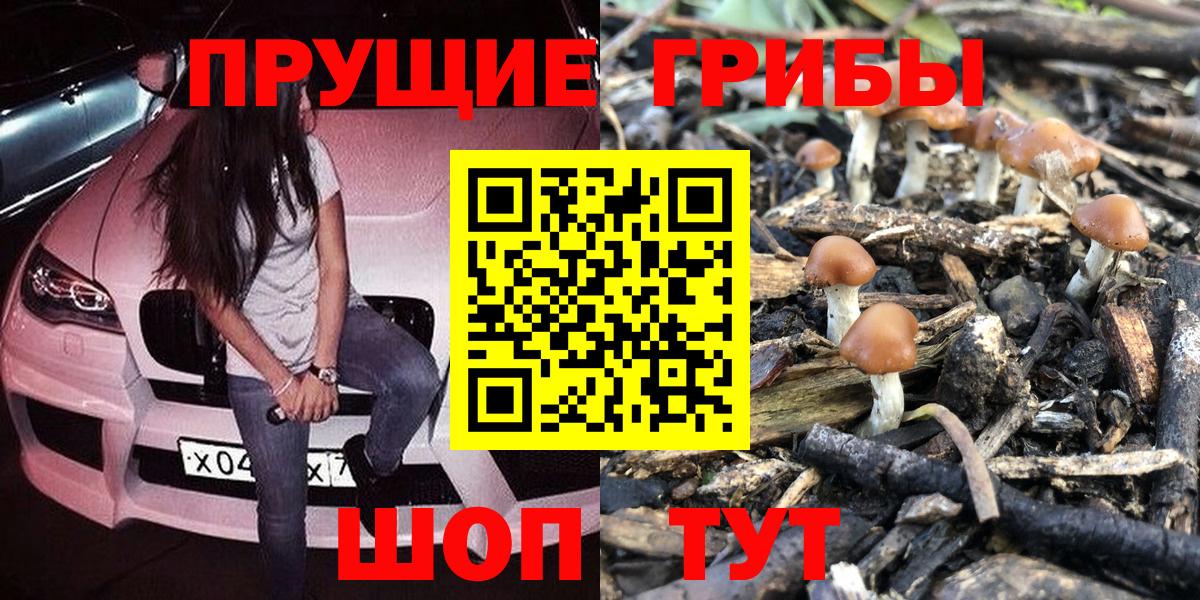 Псилоцибиновые грибы Psilocybine cubensis  хочу   Алейск  Вход с VPN 
