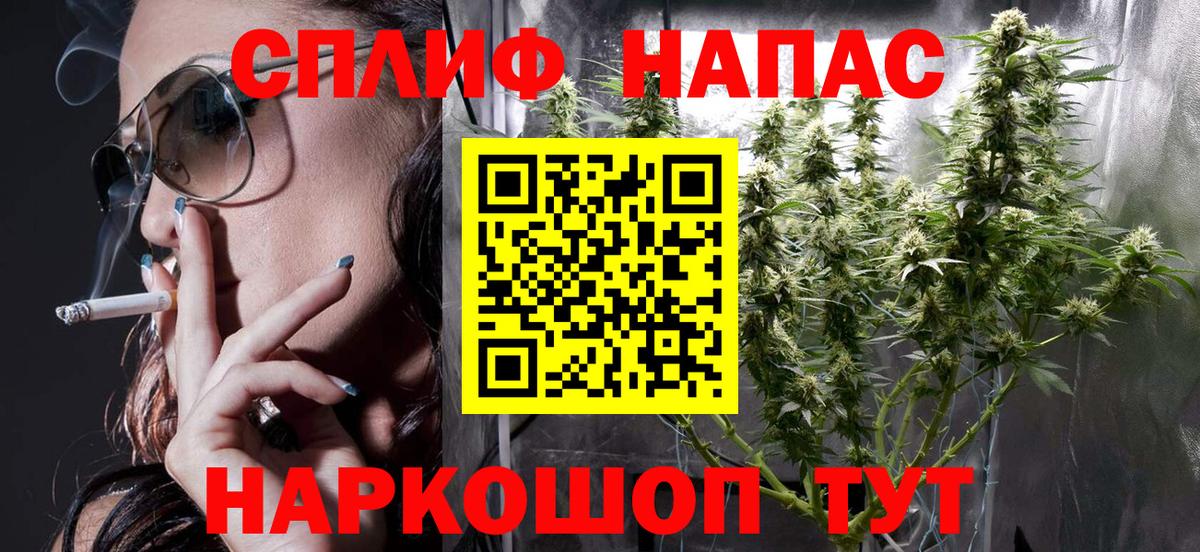 Марихуана White Widow  Вход с VPN  Алейск  Бошки Шишки THC 21%  Марихуана THC 21%  Бошки марихуана план 